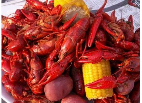 Crawfish: The Heart of Cajun Cuisine!